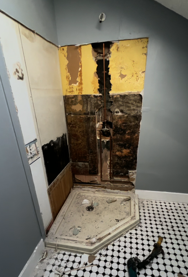 Shower gut demolition